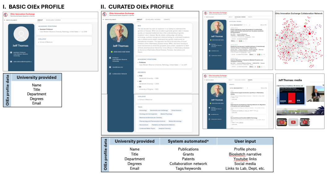 Basic and curated OIEx expert profiles