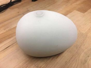 a device which looks like a white egg