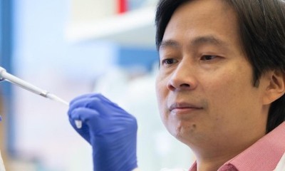 Xiaoting Zhang, a cancer researcher and professor at the University of Cincinnati College of Medicine and Cancer Center