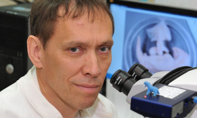 Hans Thewissen | NEOMED